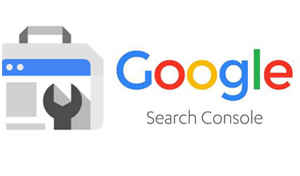 구글애즈전문기업테라그로스_서치콘솔설명_로고