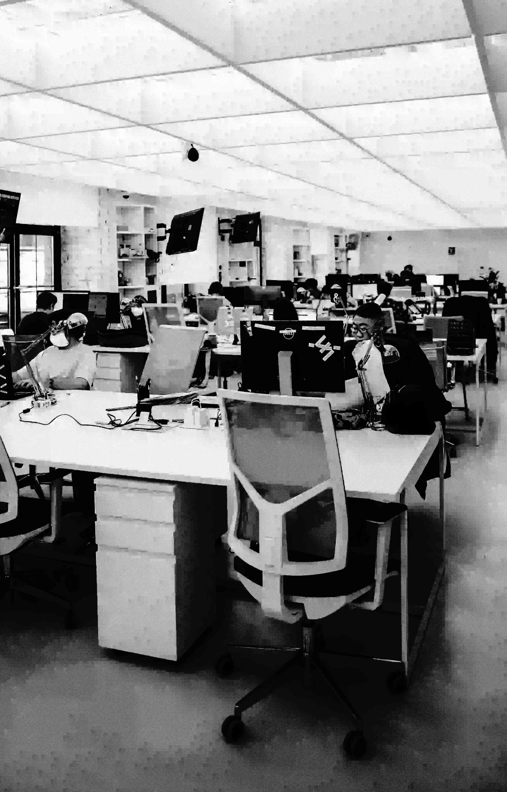 구글애즈 대행사 테라그로스