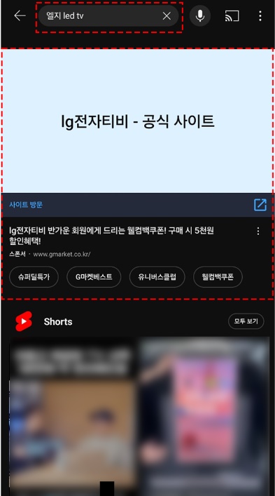 대행사 테라그로스 실적최대화캠페인 세팅에 대한 구글애즈 실적최대화 유튜브 광고 위치 표시 실제 스크린샷