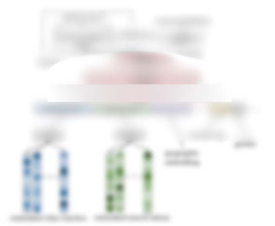 유튜브 SEO 최적화 콘텐츠로 사이트 품질 지수 향상 및 사용자 경험 개선
