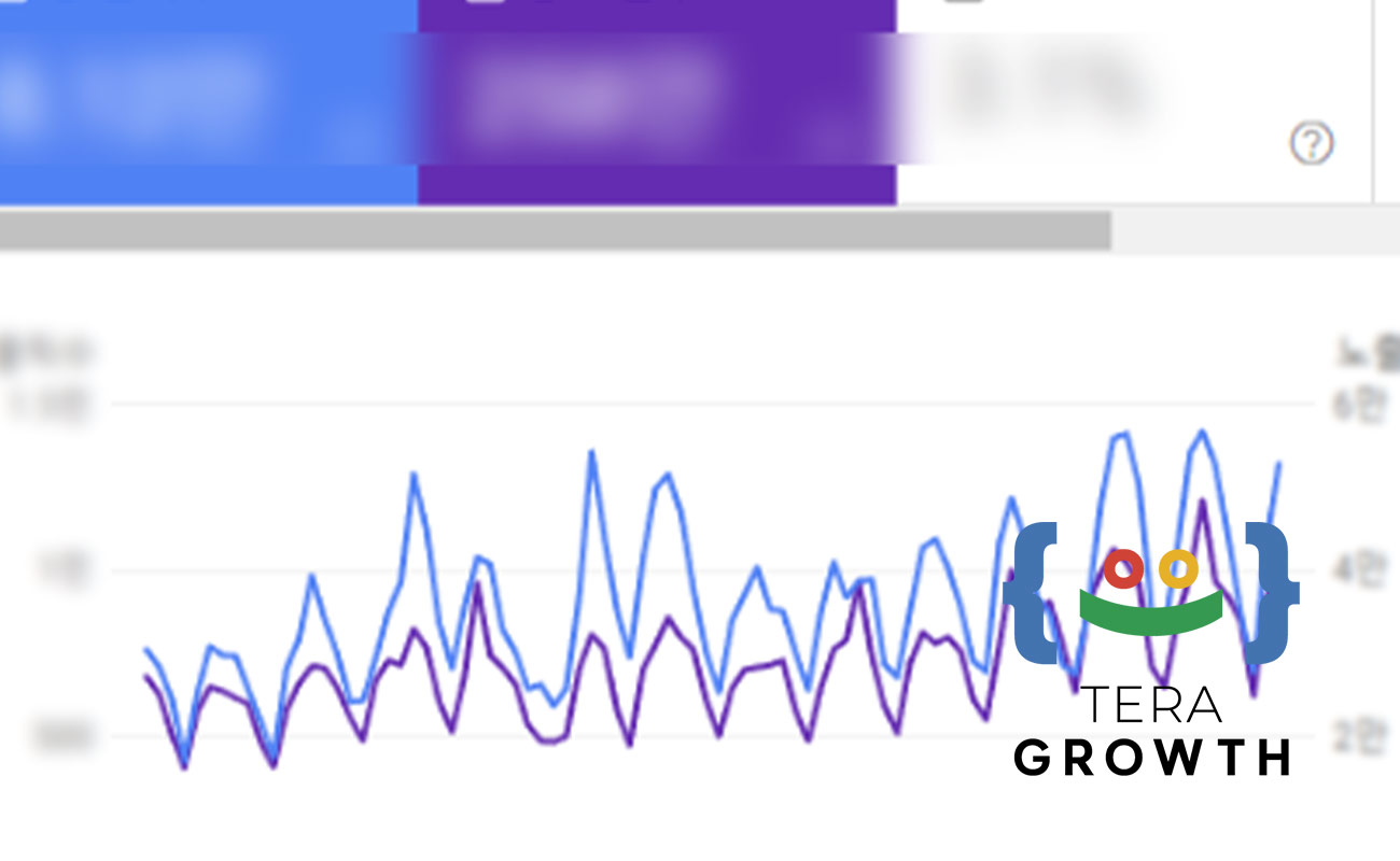 구글 광고 대행사 테라그로스의 테크니컬SEO고객성공사례서치콘솔예시